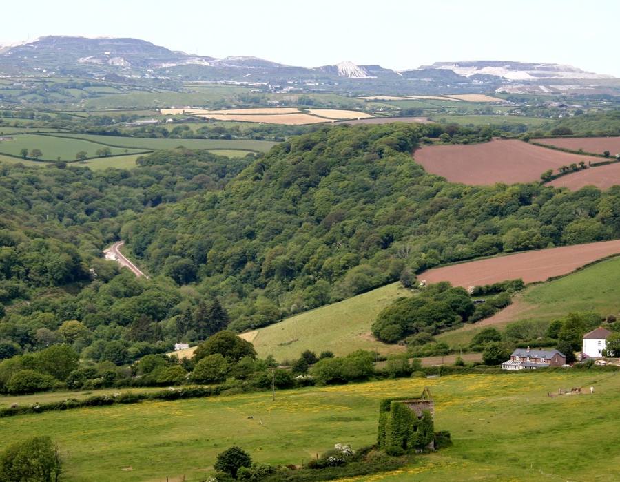 Fowey Consols and the Luxulyan Valley